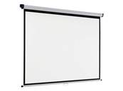 ECRAN DE PROJECTION MURAL 100'' DIM 203x152cm FORMAT 4/3