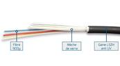 FIBRE OM3 6FO INT/EXT LSZH STRUCT. SERREE 900µ ANTI RONGEUR SIMPLE